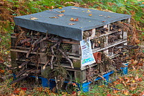 Bug hotel, home for insects, Nottinghamshire, UK. October.