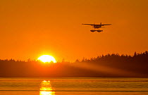 Float plane flying in front of the sunset, Vancouver Island, British Columbia, Canada, July.