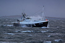 The Lerwick registered seiner &#39;Prevail&#39; heading for port to discharge, Shetland Islands, November 2013. All non-editorial uses must be cleared individually.