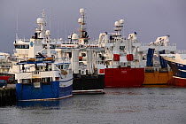 Part of the Shetland Pelagic fishing fleet tied up in Symbister Harbour, Whalsay, Shetland Islands, November 2013. All non-editorial uses must be cleared individually.