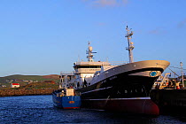 Fishing vessel &#39;Antares&#39; in Symbister Harbour, Whalsay, Shetland Islands, November 2013. All non-editorial uses must be cleared individually.