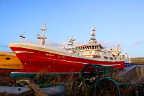 Pelagic trawlers alongside at Symbister Harbour, Whalsay, Shetland Islands, November 2013. All non-editorial uses must be cleared individually.