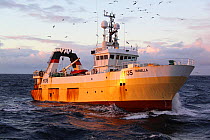 Hull registered trawler &#39;Farnella&#39; fishing for Saithe on the North Sea, November 2013. All non-editorial uses must be cleared individually.
