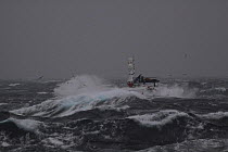 Fishing vessel &#39;Harvester&#39; on a stormy North Sea,  December 2013. All non-editorial uses must be cleared individually.
