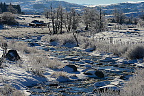 Winter river landscape, Plateau d'Aubrac in winter, Lozere, Auvergne, France, December 2013
