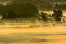 Morning mist over the countryside, Vosges, France, September 2013