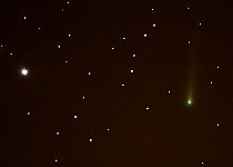 The Comet C/2012 S1 (ISON) travelling past the constellation leo, seen from eastern Colorado, 2nd November 2013 from eastern Colorado. The bright star to the left is Sigma Leo.