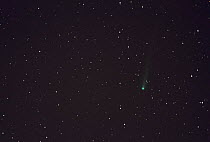 Comet C/2012 S1 (IOSN) take from Karval, Eastern Colorado, 11th November 2013.