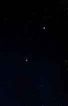 The comet C/2012 S1 (ISON) passing Virgo constellation, during twilight on the morning of 18th November 2013.  Digital composite image.