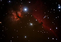 The Horsehead Nebula and NGC 2024 taken from eastern Colorado, USA, on the night of 1st November 2013.