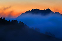 Clouds over forests at sunrise, Niederhorn Mountain, Bernese Alps, Switzerland, August 2012.