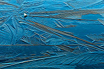 Patterns in ice, Rondane National Park, Norway, September.