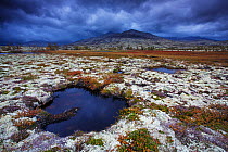 Snowy heathland landscape and mountains, Rondane National Park, Norway, September.