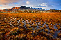 Wetlands and mountains, Rondane National Park, Norway, September 2010.