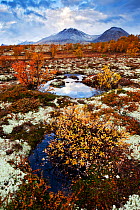 Wetlands and mountains, Rondane National Park, Norway, September 2010.