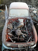 Frost covered abandoned car in car graveyard, Varmland, Sweden, December 2012.
