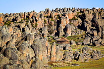 An Oromo hut amongst the granite formations of Rafu. Bale Mountains National Park, Ethiopia, December 2011.