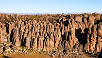 Huge granite pillars at Rafu, Bale Mountains National Park, Ethiopia, December 2011