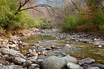 River landscape, Foping Nature Reserve, Qinling Mountains, China, April 2011.