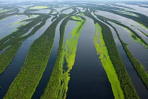 Anavilhanas Archipelago, aerial view, Rio Negro, Amazonas, Brazil, February 2011. Taken for the Freshwater Project.