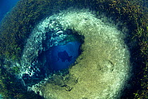 Blue hole spring, Ichetuknee river, Ichetucknee Springs State Park, Florida, USA, February. Taken for the Freshwater Project.