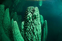 Underwater view of Anhumas Abyss, a lake within a cave, Bonito area, Serra da Bodoquena (Bodoquena Mountain Range), Mato Grosso del Sul, Brazil, November 2011. Taken for the Freshwater Project.