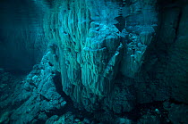 - Underwater view of Anhumas Abyss, a lake within a cave, Bonito area, Serra da Bodoquena (Bodoquena Mountain Range), Mato Grosso del Sul, Brazil, November 2011. Taken for the Freshwater Project.