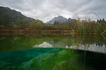Spring of the Sava Dolinka River, karst spring, part of the Natura 2000 European ecological network, Slovenia, October 2012. Taken for the Freshwater Project.