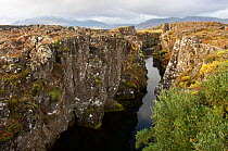 Canyon between the North American and Eurasian Plates at Thingvellir, Thingvellir National Park, UNESCO World Heritage Site, Iceland, September 2009. Taken for the Freshwater Project.