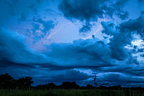Lightning during a storm, South Luangwa National Park, Zambia. February 2013.