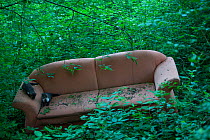 Sofa dumped in Black Forest, Baden-Wurttemberg, Germany. May.