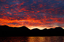 Sunrise, Olga Bay, Kodiak Island, Alaska, USA, August 2013.