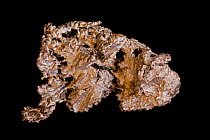 Elemental Zirconium (Zr) from Utah.