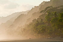 Pristine tropical lowland rainforest extending  along the coastline of Corcovado National Park, Costa Rica, February
