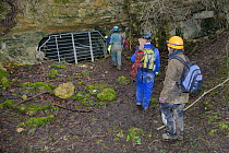 Dr. Fiona Mathews leads a survey team to the entrance of an old Bath stone mine with vandalised gate, in search of hibernating Greater horseshoe bats (Rhinolophus ferrumequinum), Bath and Northeast So...