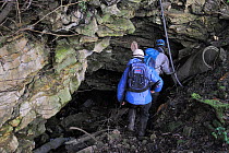 Survey team entering an old Bath stone mine to look for hibernating Greater horseshoe bats (Rhinolophus ferrumequinum), Wiltshire, UK, February. Model released.