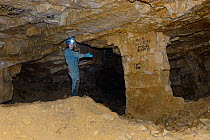 Dr. Fiona Mathews exploring old Bath stone mine in search of hibernating Greater horseshoe bats (Rhinolophus ferrumequinum), Bath and Northeast Somerset, UK, January. Model released.