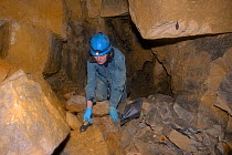 Bat scientist Dr. Fiona Mathews taking temperature and humidity records in an old Bath stone mine during a winter hibernation survey for Greater horseshoe bats (Rhinolophus ferrumequinum) with a Lesse...
