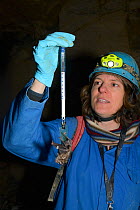 Dr. Fiona Mathews weighing a Greater horseshoe bat (Rhinolophus ferrumequinum) during a winter hibernation survey in an old Bath stone mine, Wiltshire, UK, February. Model released.