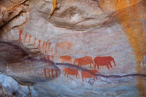 San Bushmen rock painting of elephants and people, near Stadsaal Caves, Cederberg Conservancy, South Africa, August 2011.