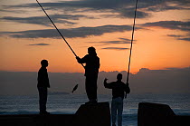 Fisherman silhouetted catching Shad (Pomatomus saltatrix) in BLue Lagoon, Durban, South Africa, August 2009.