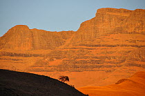 Giants castle mountain rock face in orange light, Drakensberg, Kwazulu Natal, South Africa, July 2009.