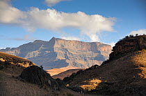 Giants castle mountain, Drakensberg, KwaZulu-Natal, South Africa, July 2009.