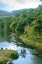 Toa River en route to Humboldt National Park, near Baracoa, Guantanamo Province, Cuba, November 2011.