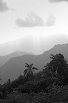 Mountainous forest viewed from pass to Baracoa, East Cuba, November 2011.