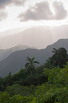 Mountainous forest viewed from pass to Baracoa, East Cuba, November 2011.