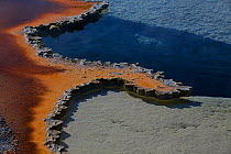 Colourful patterns formed by cyano bacteria, in Doublet Pool, Yellowstone National Park, Wyoming, USA, July.