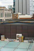 Bee hives on Manchester Art Gallery roof, Manchester, England, UK, June 2014.