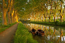 Row boats on the Canal du Midi near Carcassonne, Languedoc, France, May 2005.