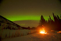 Northern lights (Aurora borealis) glowing brightly over a man enjoying a hot campfire in the Chena River State Recreational Area, outside of Fairbanks, Interior of Alaska, November 2013.